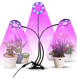 Avis lampe de plante Infinitoo​