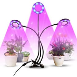 Test lampe de plante Infinitoo​