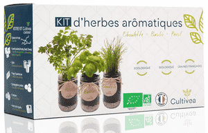 Test et avis sur le kit prêt à pousser d'herbes aromatiques Cultivea
