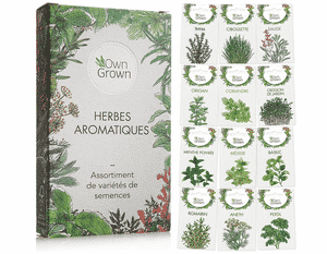 Test et avis sur le kit prêt à pousser d'herbes aromatiques OwnGrown