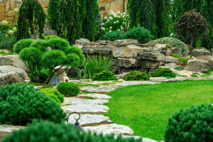 Conseils pour créer un jardin naturel